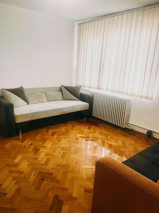 Ultracentral Big Flat Near The Opera Square P17 티미쇼아라 외부 사진
