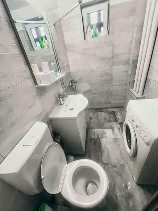 Ultracentral Big Flat Near The Opera Square P17 티미쇼아라 외부 사진