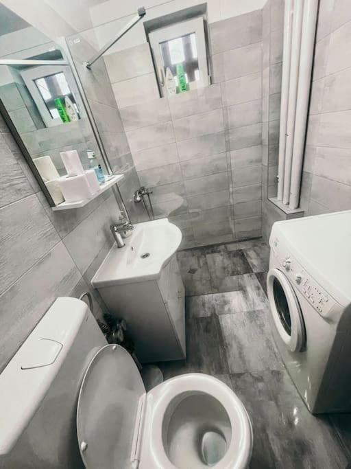 Ultracentral Big Flat Near The Opera Square P17 티미쇼아라 외부 사진